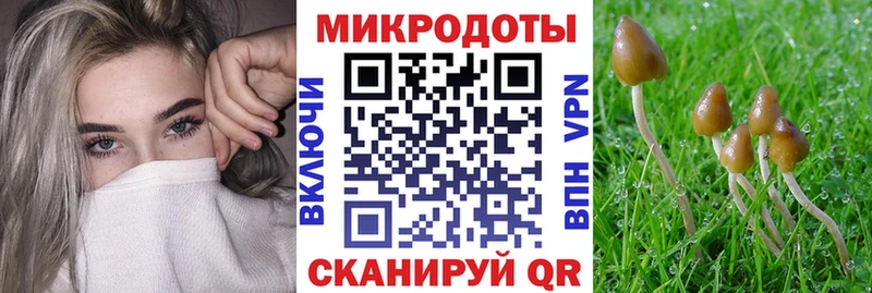 Псилоцибиновые грибы Psilocybe  купить закладку  Майский 